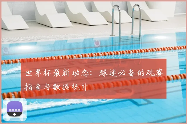 世界杯最新动态：球迷必备的观赛指南与数据统计