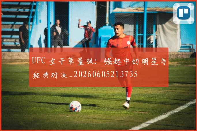 UFC 女子草量级：崛起中的明星与经典对决_20260605213735